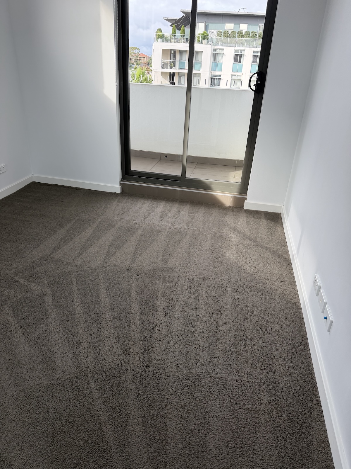 Carpet cleaning result