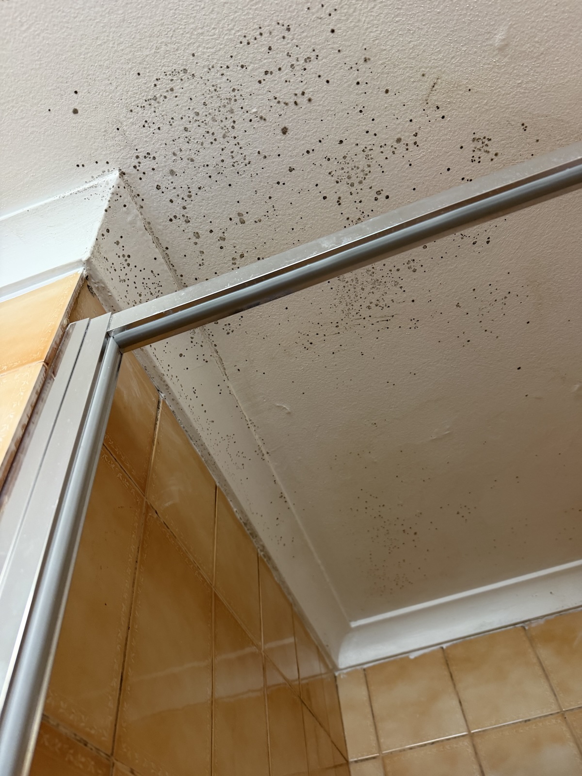 Bathroom mould before cleaning
