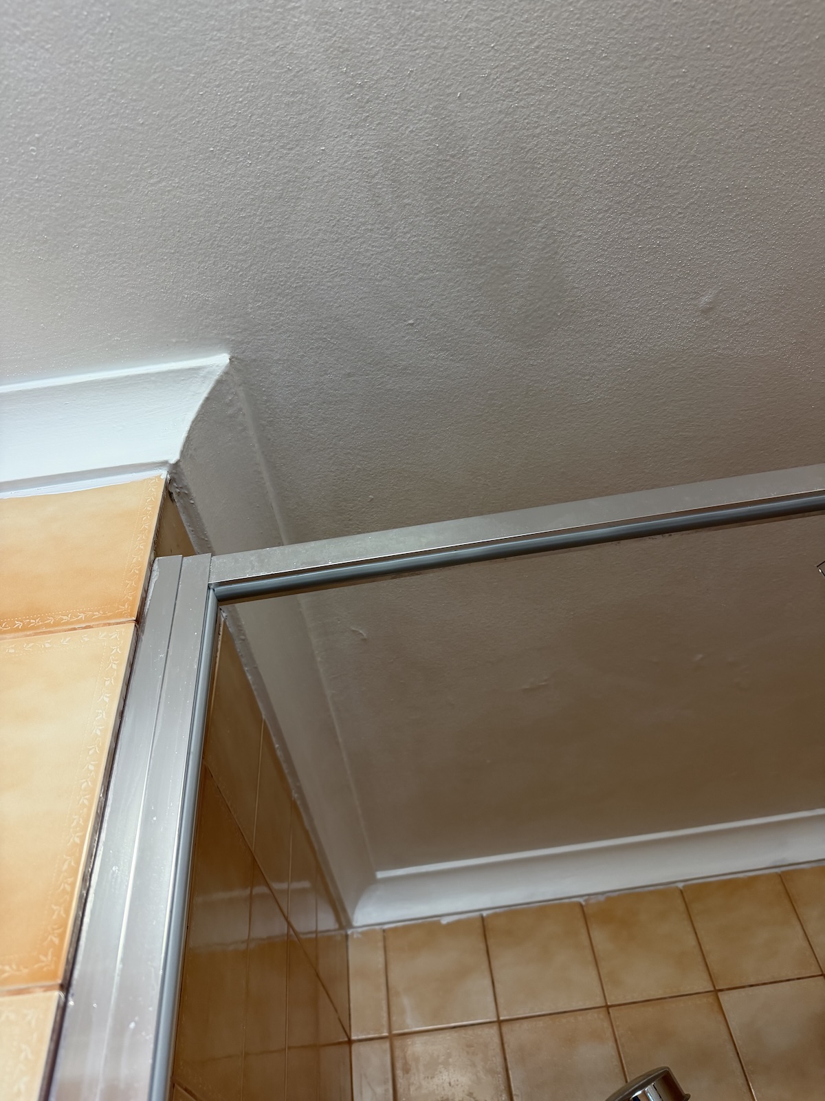 Bathroom ceiling after mould removal